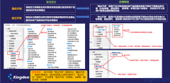 关于购买BOS运行平台-融合开发和独立开发定义解